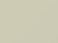 White touch-up paint for Toyota, code W09, 2020
