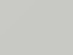 Linen White touch-up paint for Oldsmobile, code 5111, WA5111, 1994