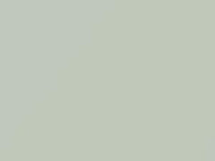 Casablanca White touch-up paint for Nissan, code 474, D31, Z36, 2004