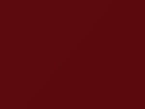 Bright Red touch-up paint for Nissan, code 719, Z52, 2013