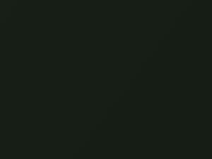 Woodland Green Metallic touch-up paint for Ford Maverick, code 6890, FY, M6890A, WAWE, 2005