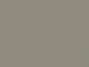 Olive Silver Metallic touch-up paint for Suzuki Verona, code 93U, 2004
