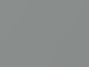 Light Silver Metallic touch-up paint for Honda Civic, code NH595M, 1995