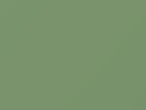 Lintgruen touch-up paint for Volkswagen California, code 65095, LL6F, V4, V4V4, 2004