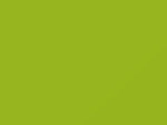 Lime Twist touch-up paint for Kia Forte, code LAR, 2010