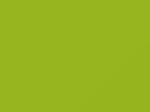 Lime Twist touch-up paint for Kia Forte, code LAR, 2010