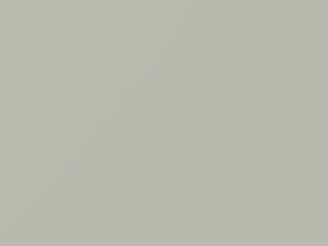 Bianco Divino touch-up paint for Jeep Renegade, code 296A, NWV, PWV, 2015