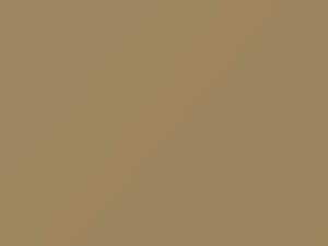 Sahara Tan touch-up paint for Jeep, code JFD, PFD, 2012