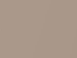 Pale Beige Metallic touch-up paint for Daihatsu, code T24, 2017