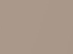 Pale Beige Metallic touch-up paint for Daihatsu, code T24, 2017