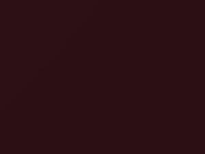 Maroon Mica/New Maroon Metallic touch-up paint for Nissan, code L40, 2006