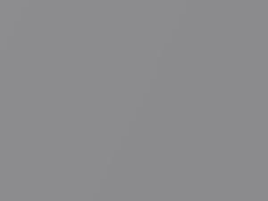 Dark Micastone Metallic touch-up paint for Ford S-Max, code 5BNX, 720 + alternatives, 2015