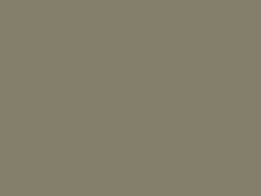 Taupe Metallic touch-up paint for Volvo 850, code 411, 1994