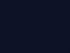 BMW Mauritiusblau Metallic/Mauritus Blue Metallic touch up paint 287 1994 All Models