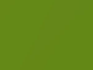 Snakeskin Green Pearl touch-up paint for Dodge Viper, code GGS, PGS, 2010