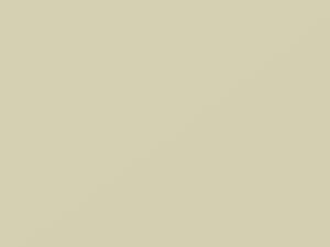 Mercedes-Benz Classic White touch up paint 737 1985 All Models