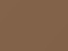 Medium Light Mocha touch-up paint for Ford, code DH, M6608A, 1994