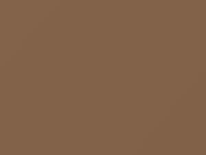 Medium Light Mocha touch-up paint for Ford Ranger, code DH, M6608A, 1992