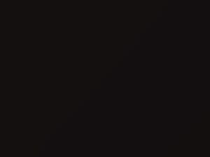 Mica Black touch-up paint for Subaru Legacy, code 952, 1992