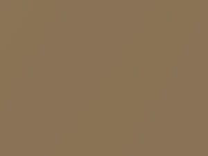 Medium Bisque Metallic touch-up paint for Ford, code AC, M6321A, 1990