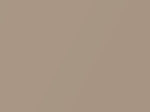 Sonora Sand Metallic touch-up paint for Subaru, code 229, 1993