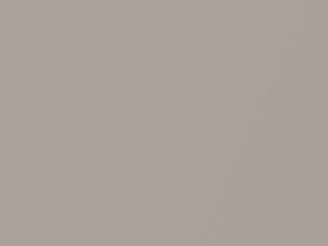 Champagne Metallic touch-up paint for Cadillac Allante, code 38, 9633, WA9633, 1991