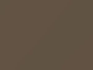 Mocca Latte touch-up paint for Fiat, code 161248, 231B, PTA, 2015