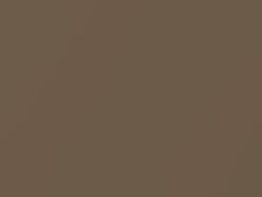 Medium Camel Metallic touch-up paint for Oldsmobile, code 59, 9748, WA9748, 1992