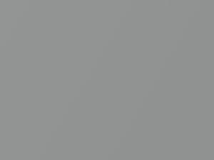 Ultimate Silver Metallic touch-up paint for Subaru Justy, code 220, 1992