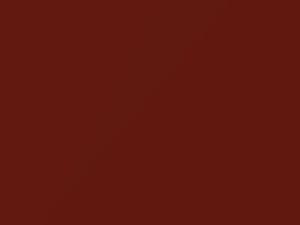 BMW Sienna Red Metallic touch up paint 281 1996 All Models