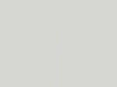 Arctic White Pearl touch-up paint for Suzuki S Cross, code ZHJ, 2019