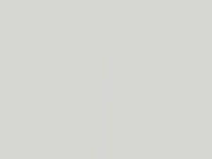 Arctic White Pearl touch-up paint for Suzuki Swift, code ZHJ, 2010