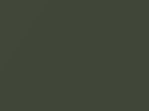 Spanish Olive Pearl touch-up paint for Chrysler Sebring Sedan, code AC11155, L55, PFF, 1997