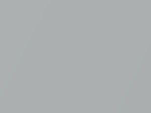 Rhodium Silver Metallic touch-up paint for Jaguar Xj, code 1AC, 2130, JBC2130, MEN, 2016