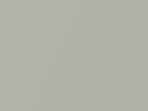 Springs Silver Metallic touch-up paint for Mitsubishi L400, code AC11081, H81, 1995