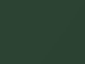 Olive Green Metallic touch-up paint for Saab, code 254, 1997