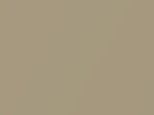 Light Antelope Metallic touch-up paint for Isuzu Trooper, code 761, U103P901-0, 1992