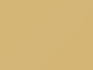 Canyon Yellow touch-up paint for Buick Riviera, code 55, 9814, WA9814, 1992