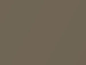 Buckskin Beige Metallic touch-up paint for Hyundai, code TE, 1991