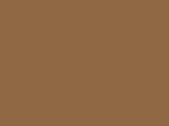 Cargo/(Med.) Pawnee Tan touch-up paint for Ford Cargo Med, code 4D, AV, M6403A, 1995
