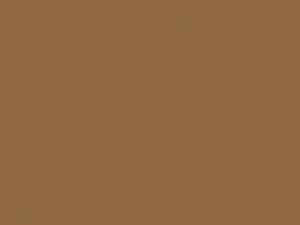 Pawnee Tan touch-up paint for Ford, code 4D, AV, M6403A, 1991