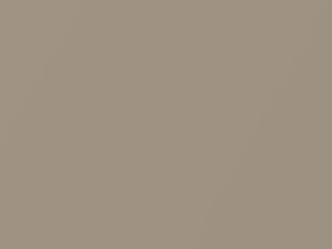 BMW 7 Series Samanabeige Metallic touch up paint 282 1993 7-SERIES