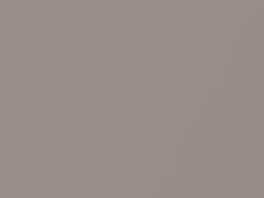 Light Gray Beige Metallic touch-up paint for Lexus, code CO7, 1991