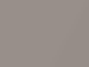 Light Gray Beige Metallic touch-up paint for Lexus, code CO7, 1991