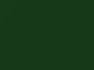 Verde Smeraldo touch-up paint for Fiat, code 74, 2010