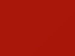 Orange touch-up paint for Nissan, code 419, 2003