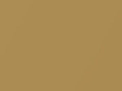 Atomic Gold Metallic touch-up paint for Nissan, code EAH, 2020