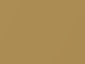 Atomic Gold Metallic touch-up paint for Nissan, code EAH, 2020