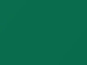 Bahama Green touch-up paint for Isuzu Amigo, code 738, G010P802-0, 1992