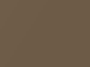Light Bronze Metallic touch-up paint for Chevrolet, code 63, 7722, WA7722, 1984